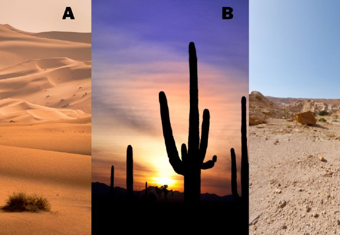Melyik sivatagot választod? Elárulja a legnagyobb félelmedet