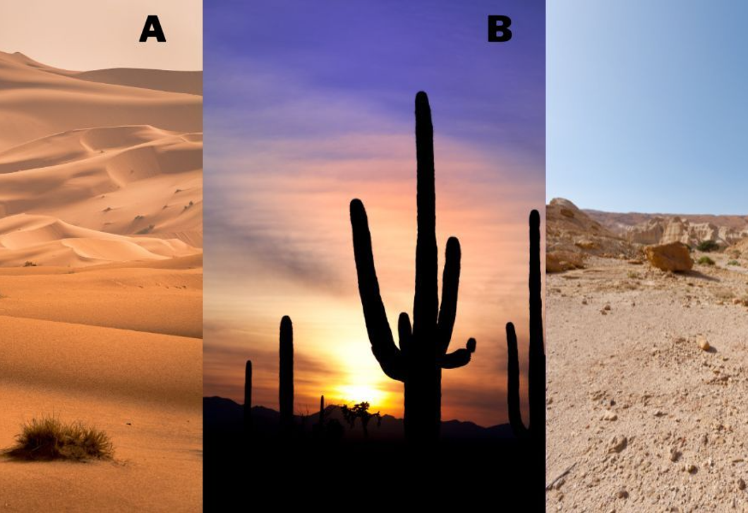 Melyik sivatagot választod? Elárulja a legnagyobb félelmedet