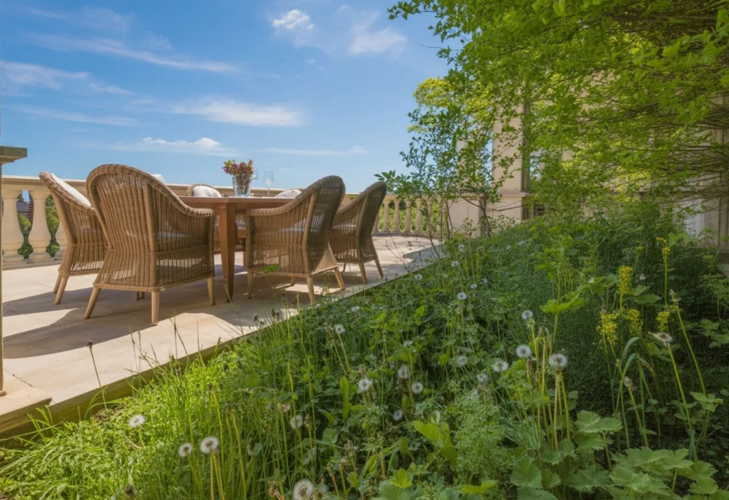 A legtöbben vegyszert használnak – pedig ez az egyszerű konyhai trükk eltünteti a gyomokat