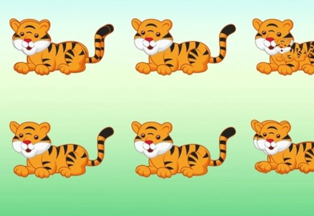 Hány tigris van a képen? Csak az emberek 1%-a találja ki 9 másodperc alatt