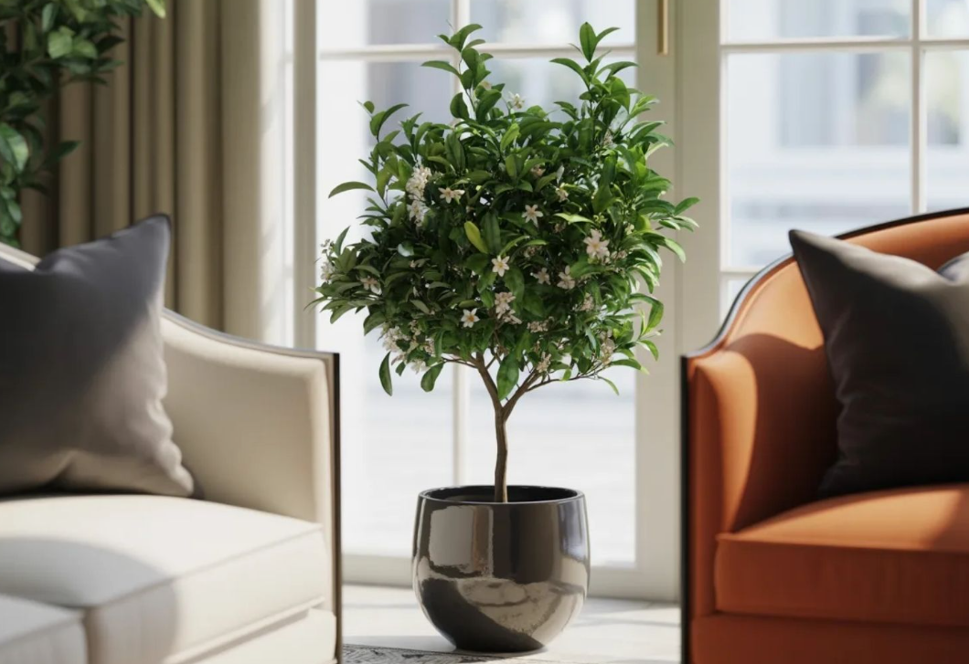 Nem kell kert a saját gyümölcshöz – ezek a törpe fák akár a nappalidban is teremnek