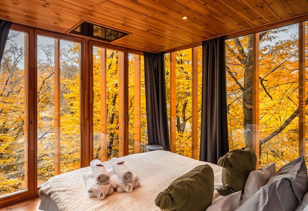 Csoda a fák koronáján: karácsonyi kuckózás a Treehouses Noszvajban