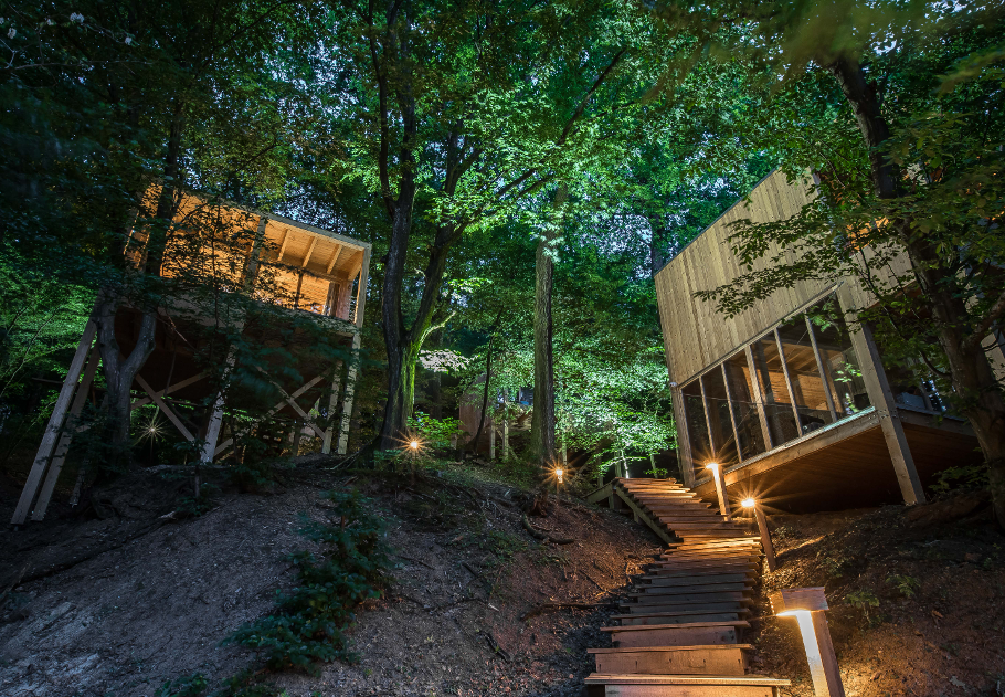 TreeHouses - ahol...