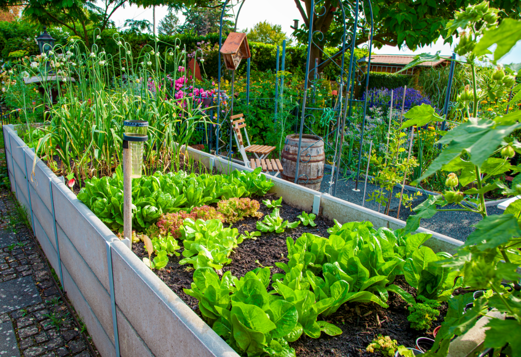 Ezt a 7 zöldséget még márciusban ültesd el, ha finom nyári termésre vágysz