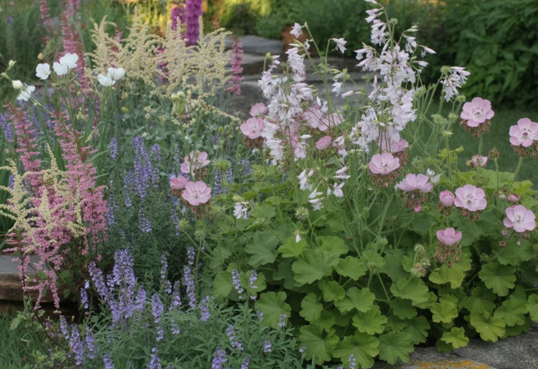 Ezek a virágok nem fogják kinőni a kerted – a kis kertek titka