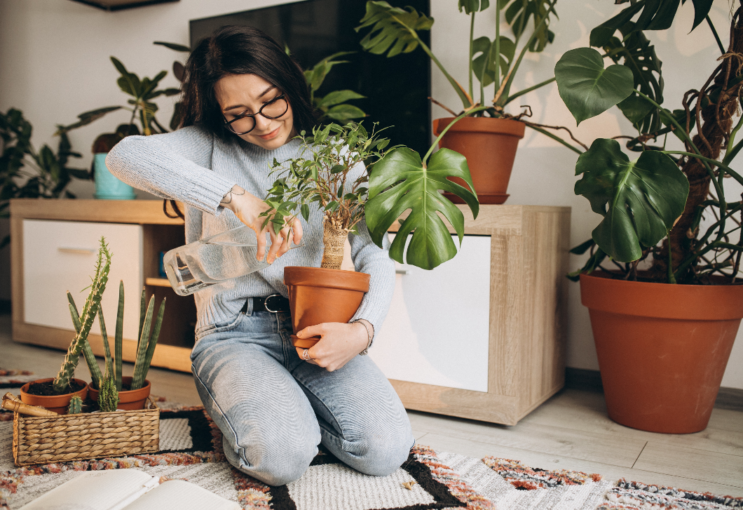 Veszélyben a szobanövények – így védd meg őket a téli klímában!