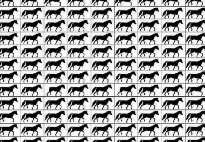 Zseni vagy, ha megtalálod a háromlábú lovakat a képen 15 másodperc alatt