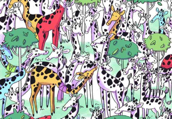 Csak egy zseni találja meg a zebrát a zsiráfok között 7 másodperc alatt - Neked menni fog?