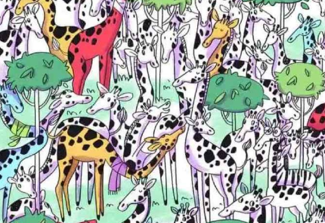 Észreveszed a zebrát a zsiráfok között? Csak az emberek 1%-a találja meg 10 másodperc alatt