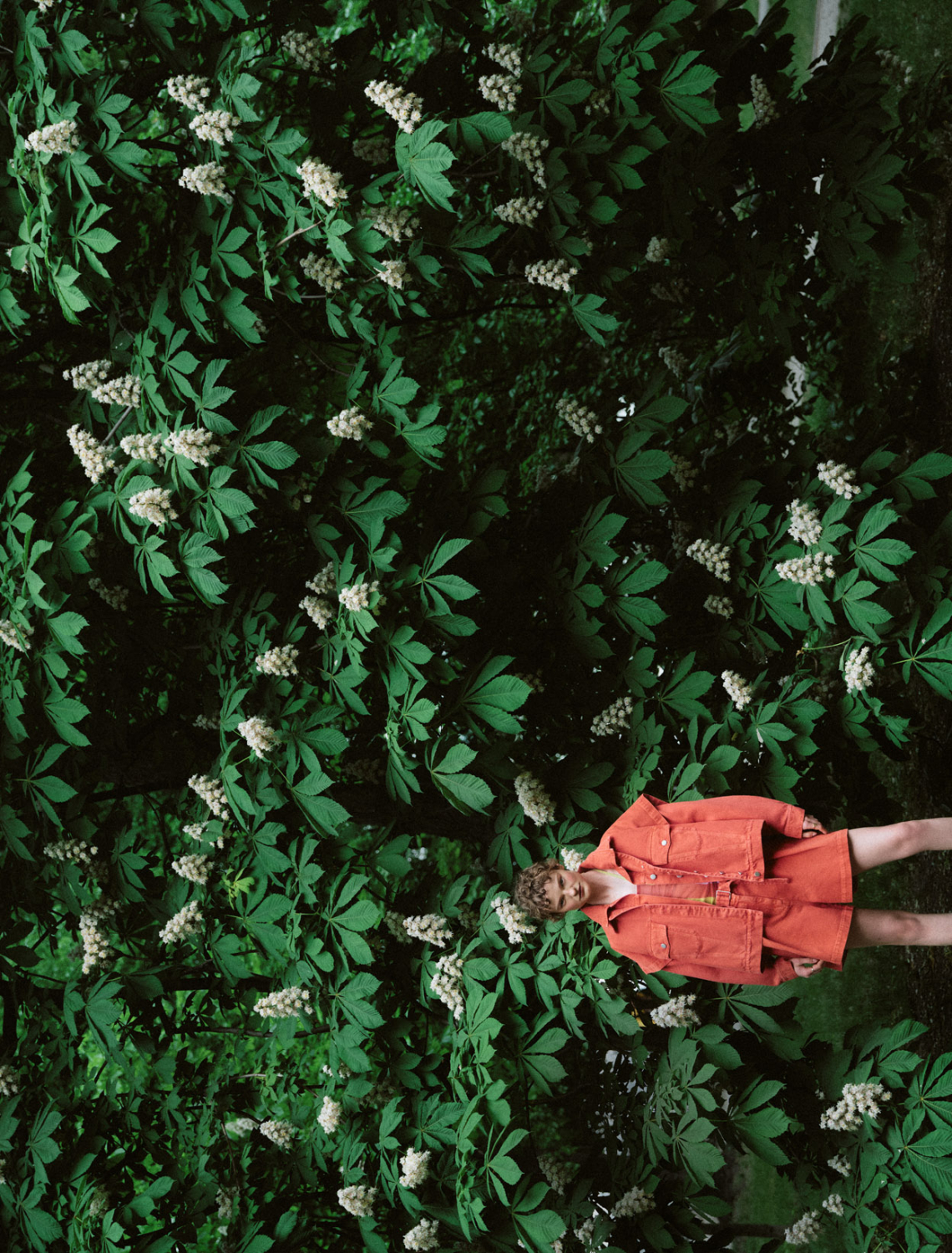 gallery-img