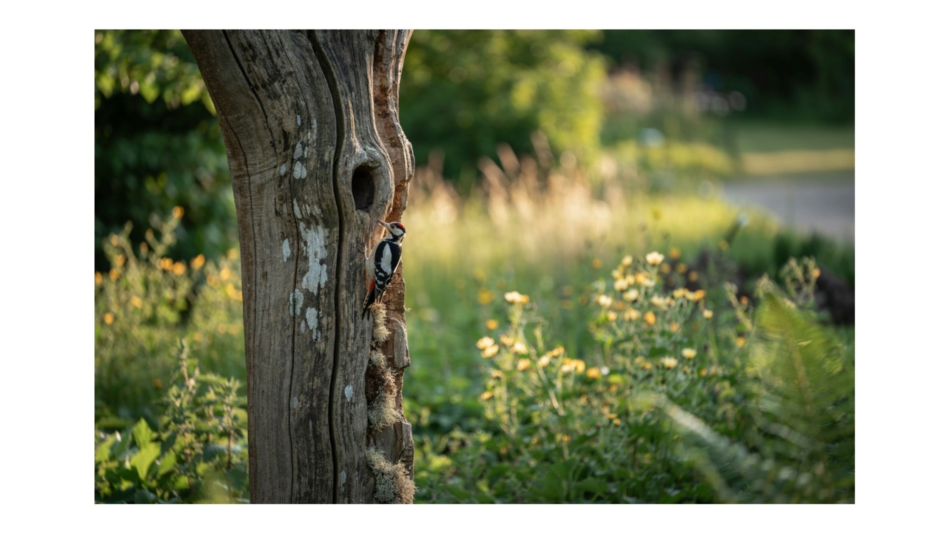 gallery-img