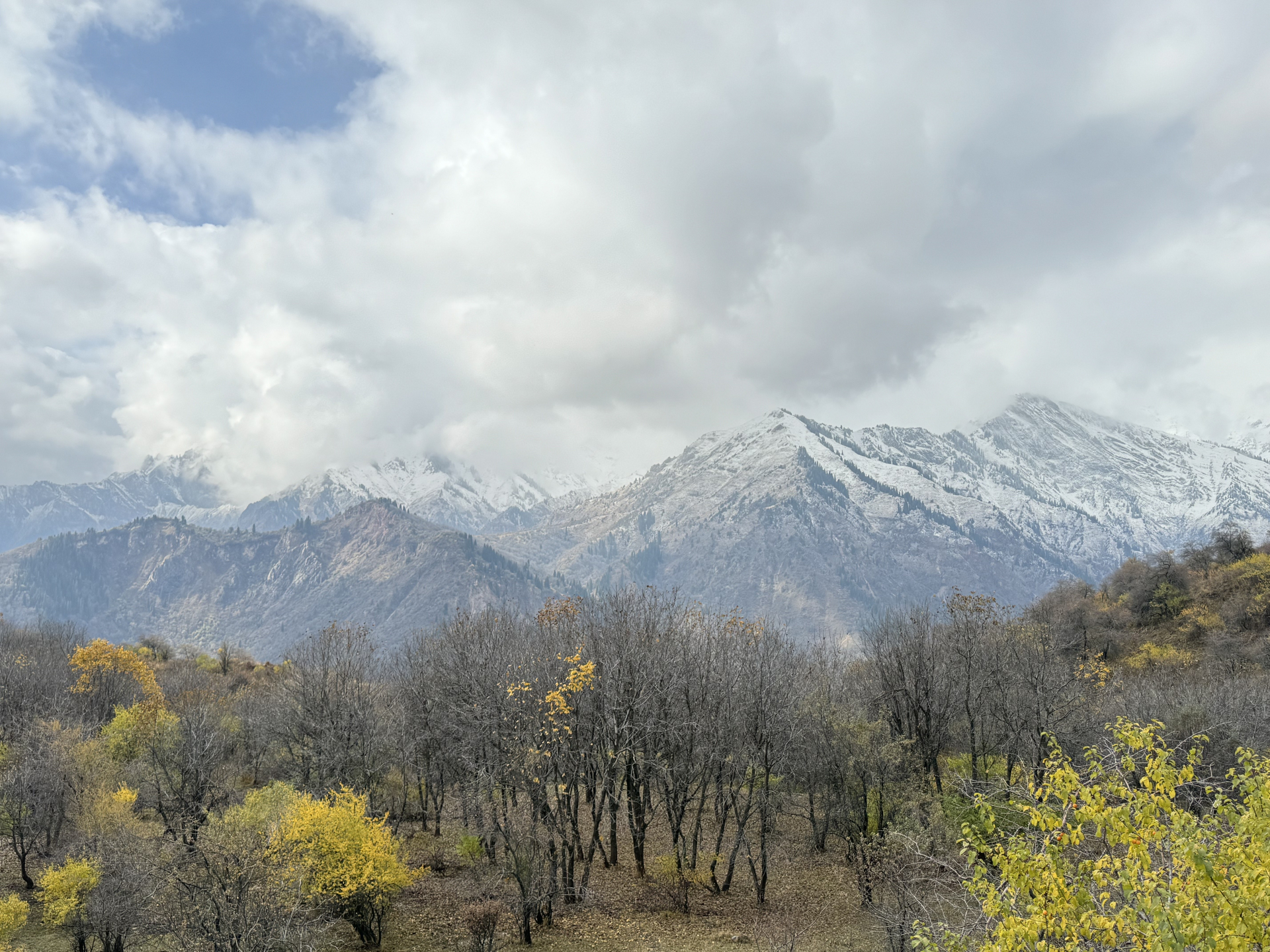 gallery-img