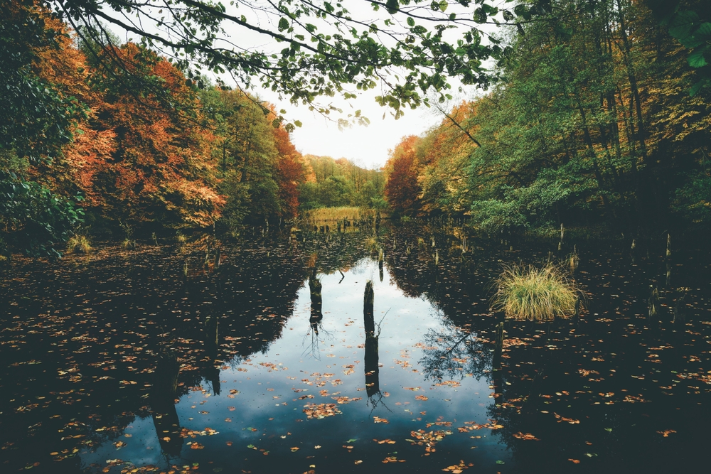 gallery-img