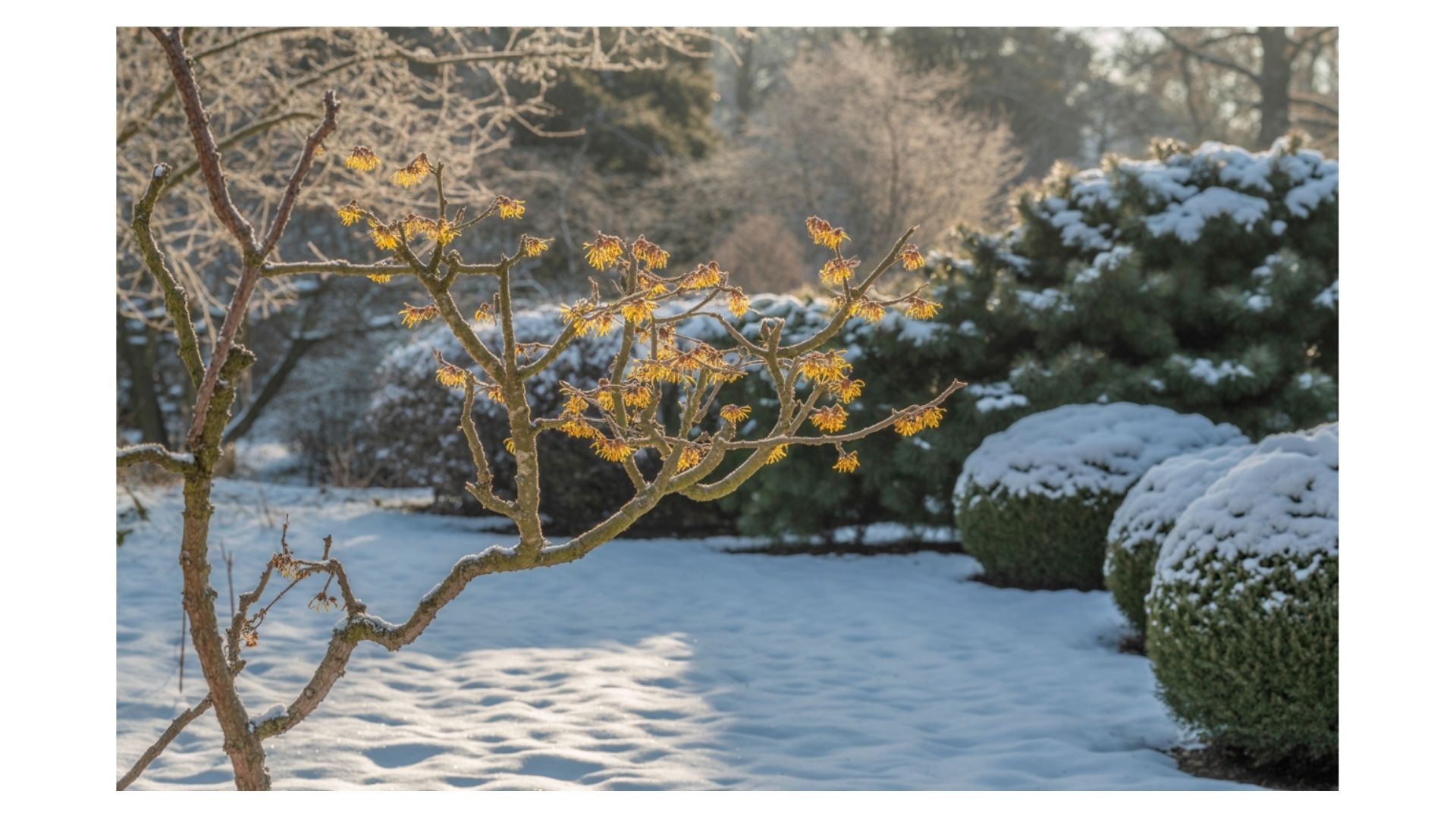 gallery-img