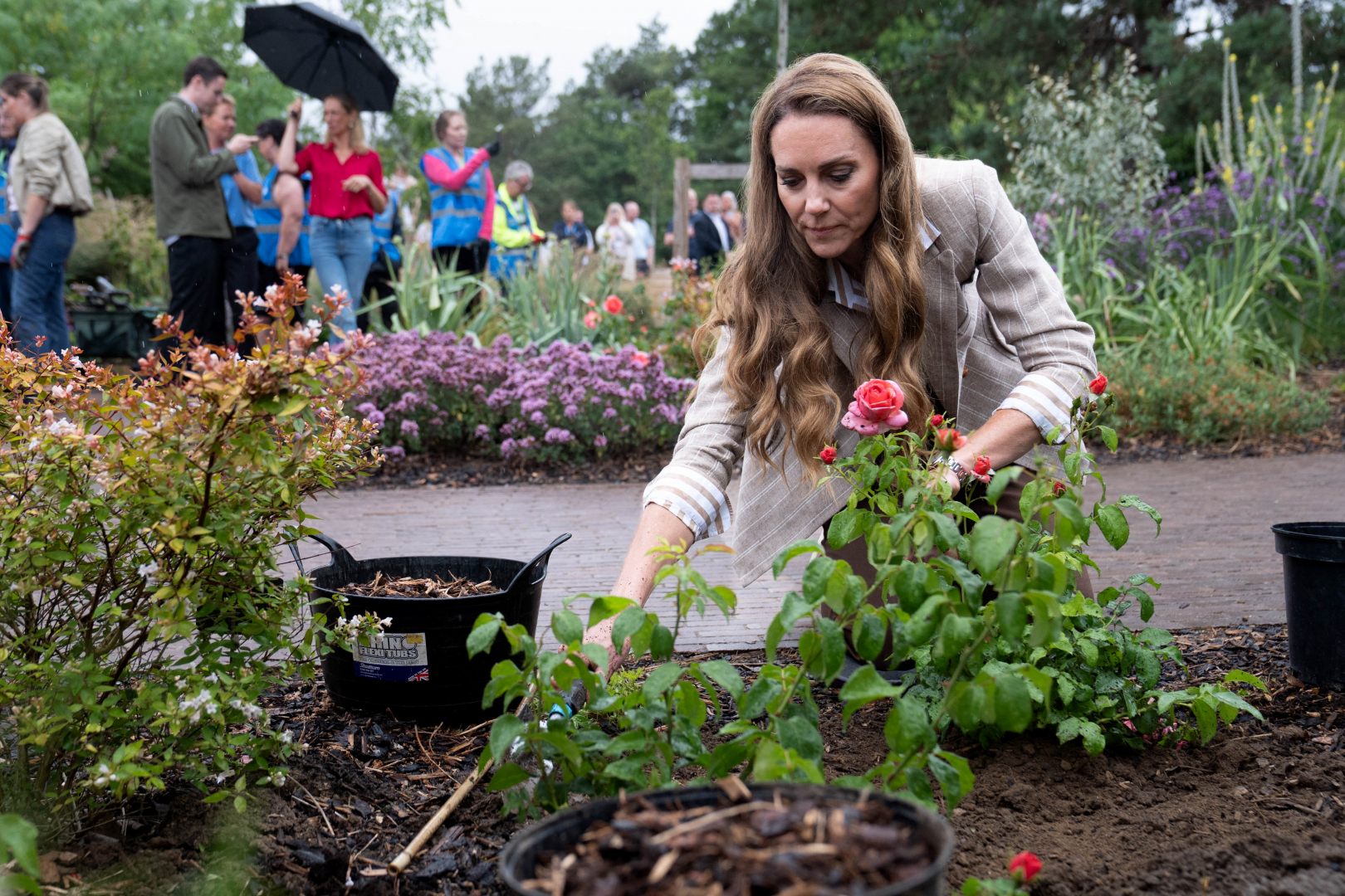 Katalin hercegné kertészkedik