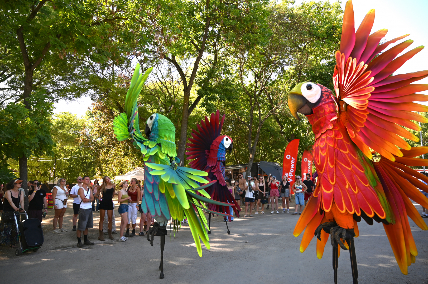 Sziget, hangulatkép