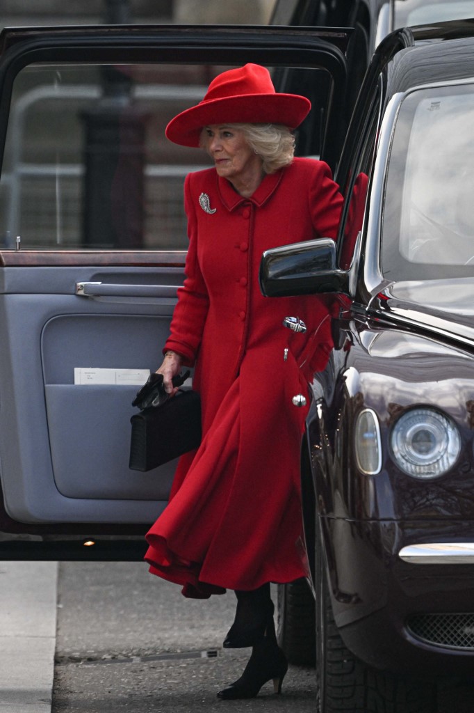 Kamilla királyné pirosban