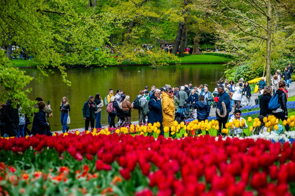 Keukenhof, Hollandia