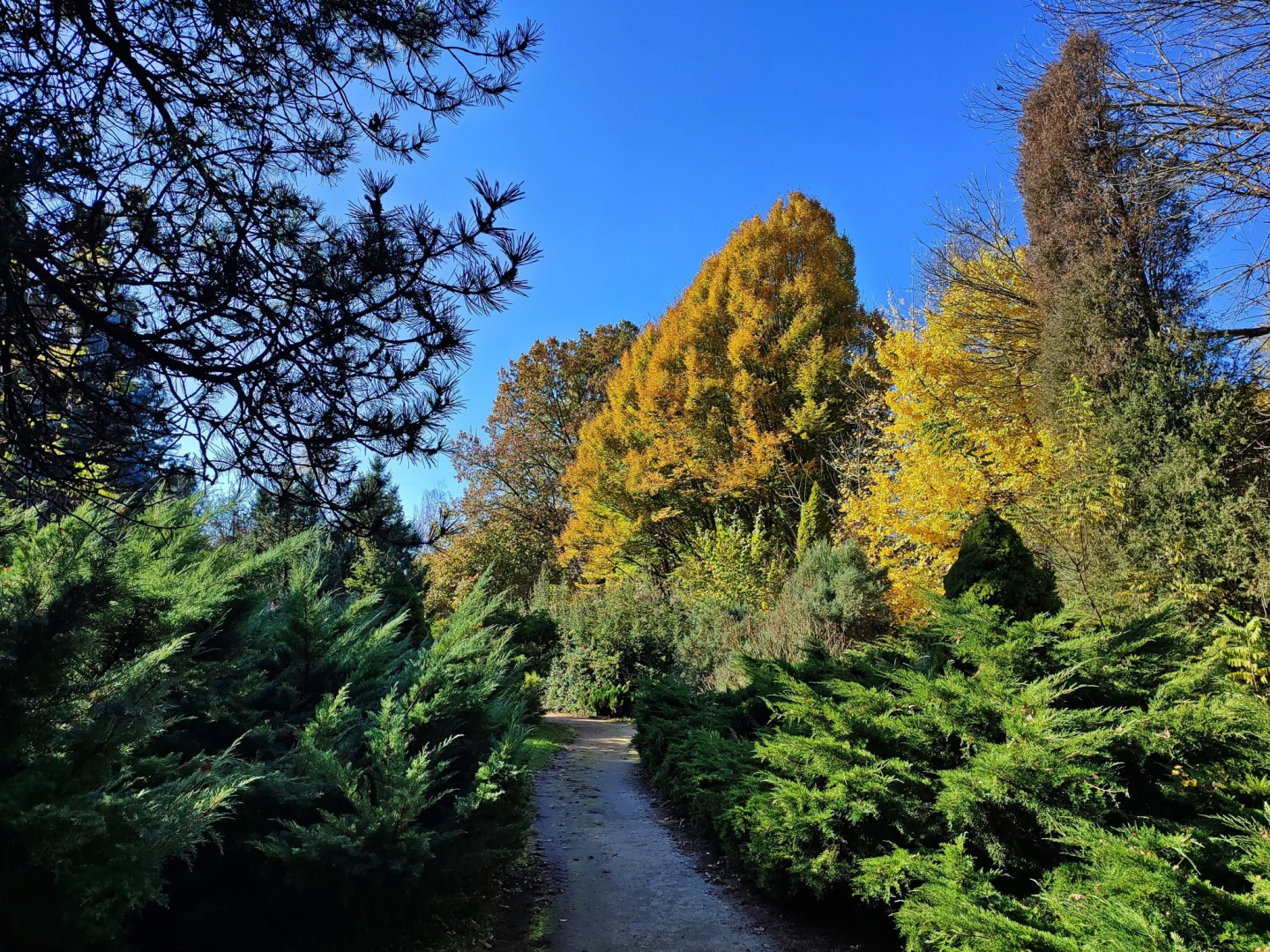 Erdőteleki Arborétum