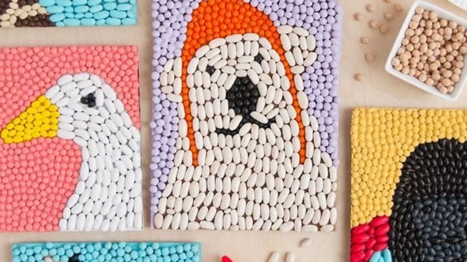 állati képek magokból