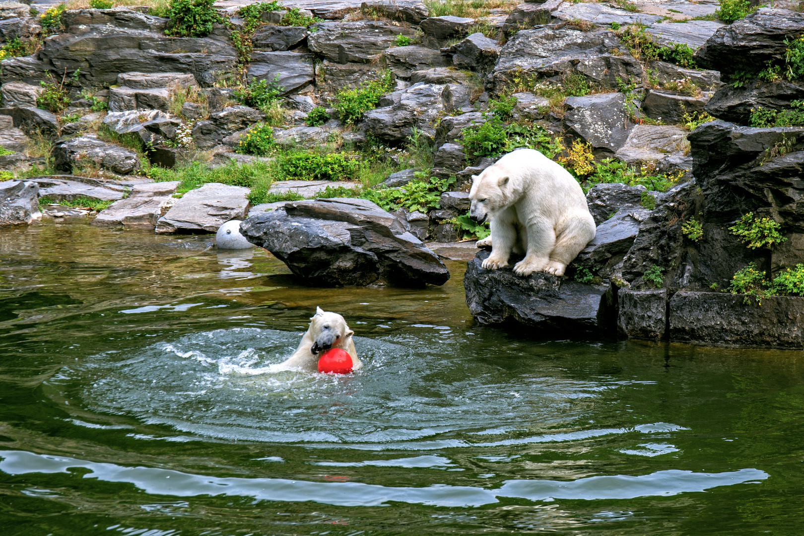 Berlin ZOO