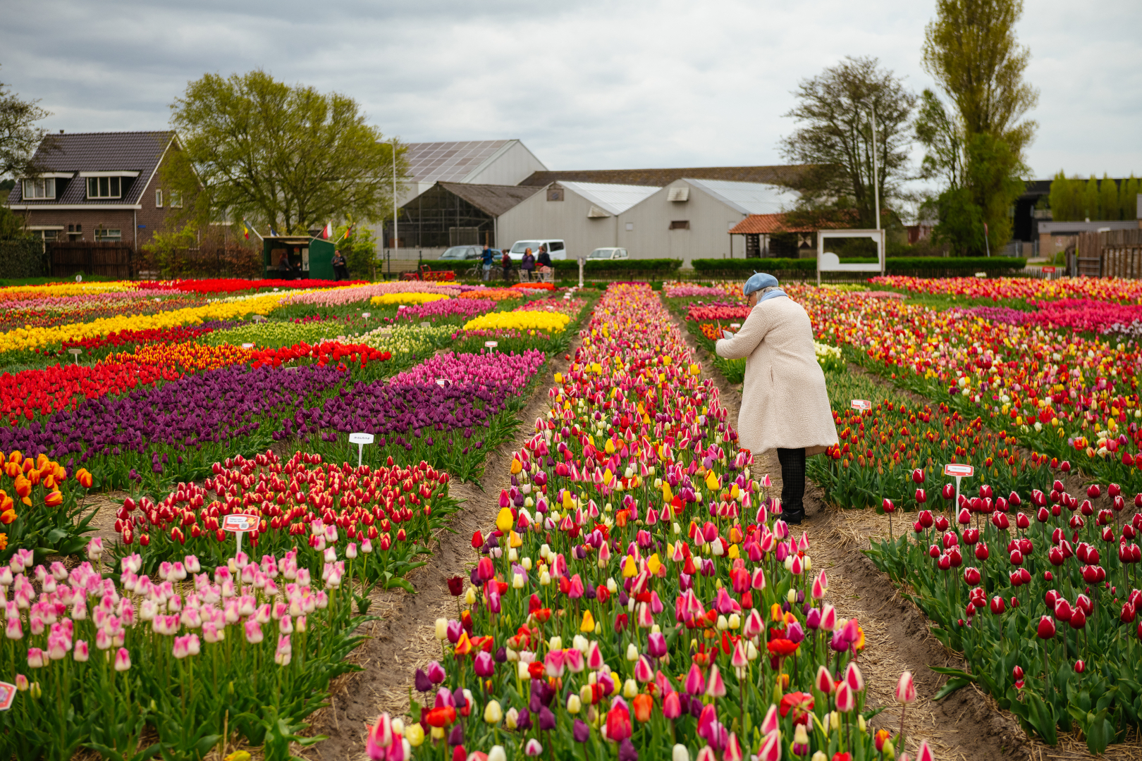 Keukenhof