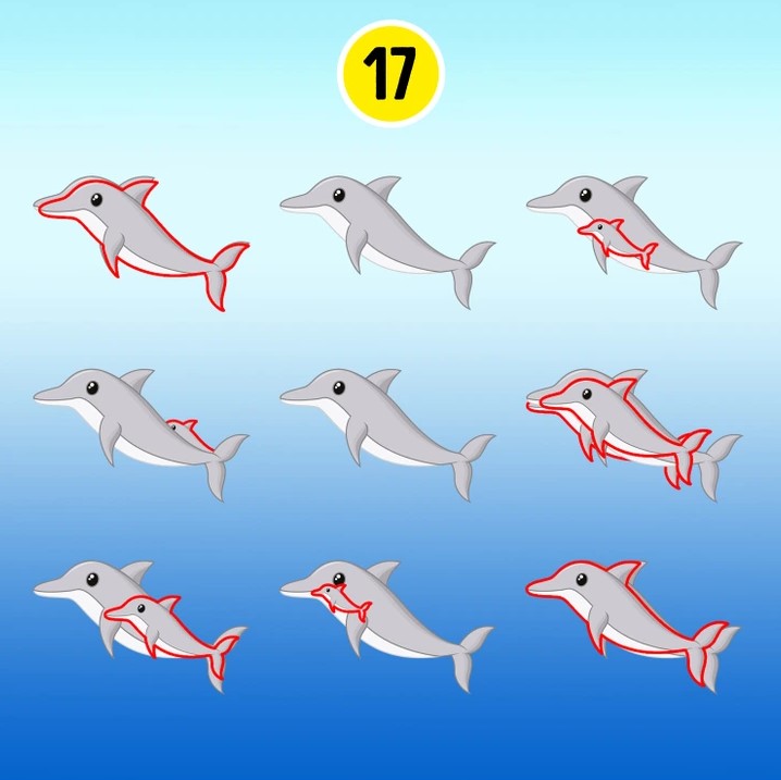 delfinek-zseni-2023