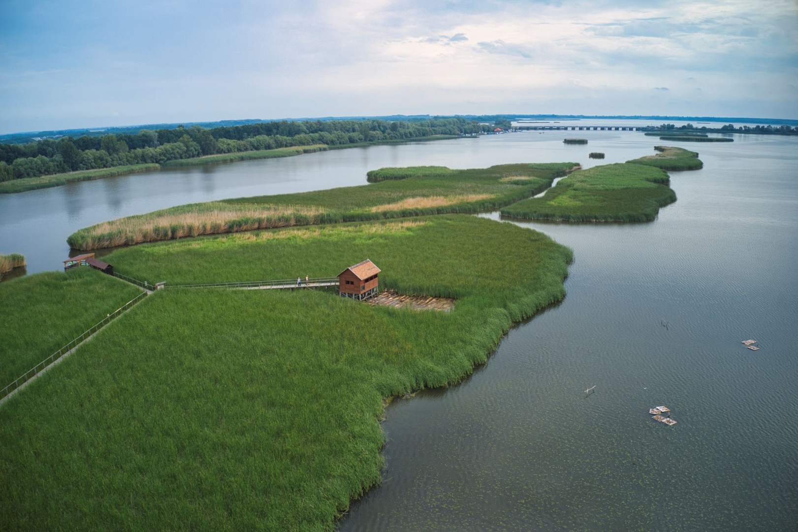 Tisza-tavi tanösveny
