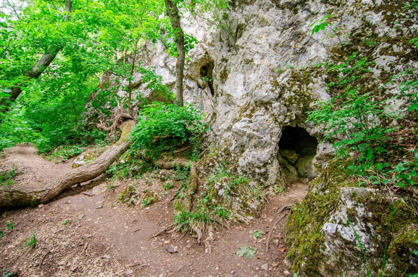 PILISI ŐSEMBER BARLANGJA