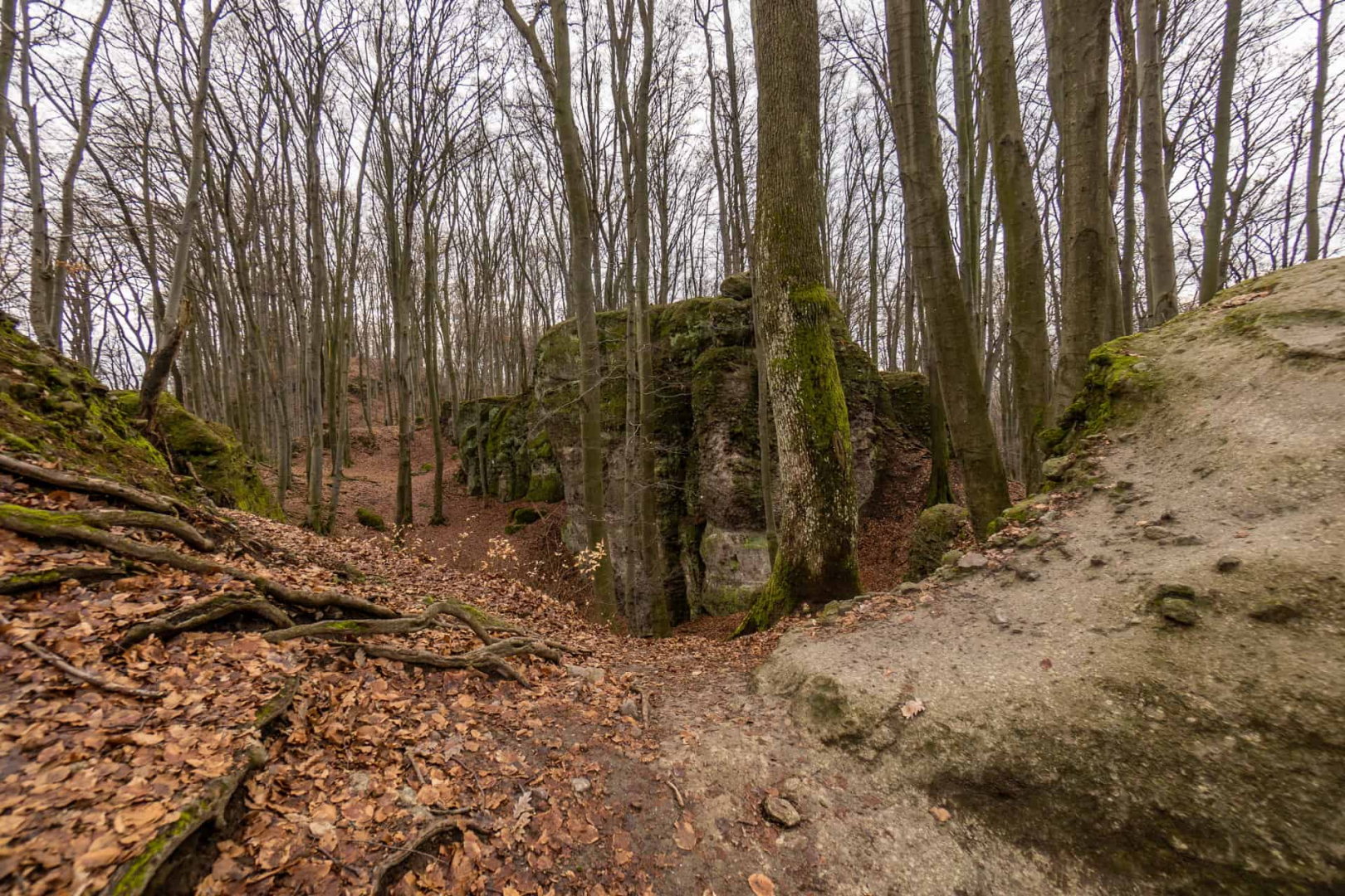 Zsivány-sziklák, túra